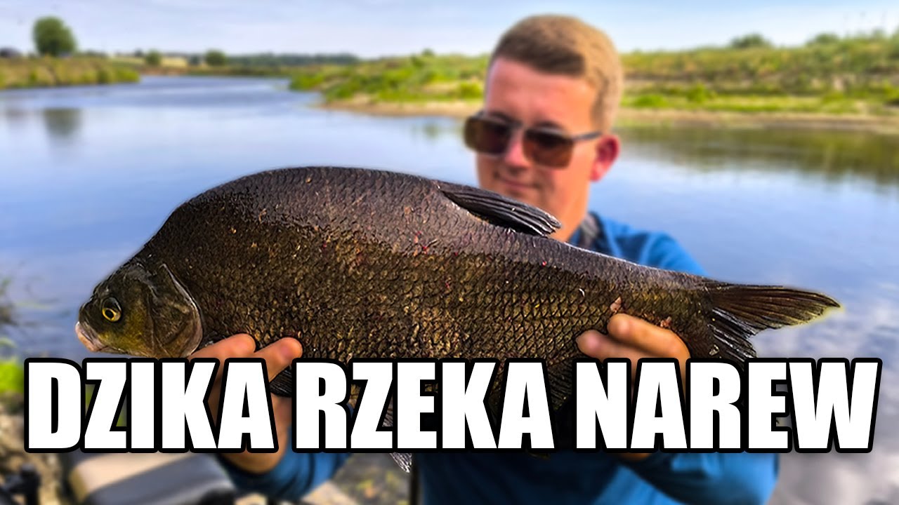 Dzika rzeka Narew. Vlog 1 #feeder #leszcz #natura