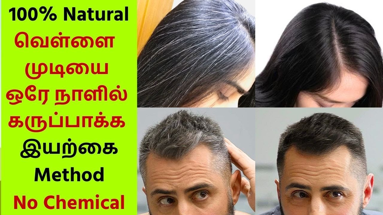 🔴White Hair to Black Hair in 1 Day  - Natural Method - நரை முடியை கருப்பாக்க 100% இயற்கை dye