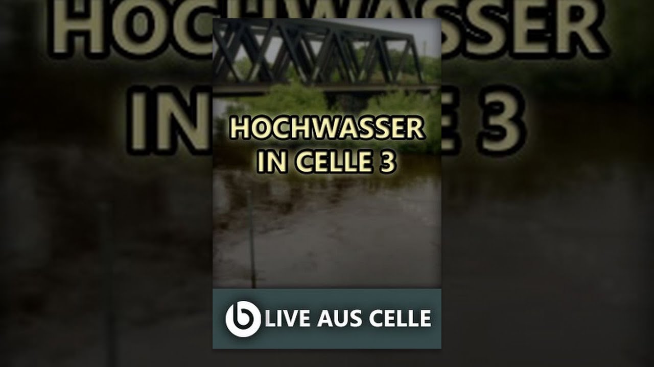LIVE AUS CELLE | HOCHWASSER IN CELLE 3 | EIN LAGEBERICHT