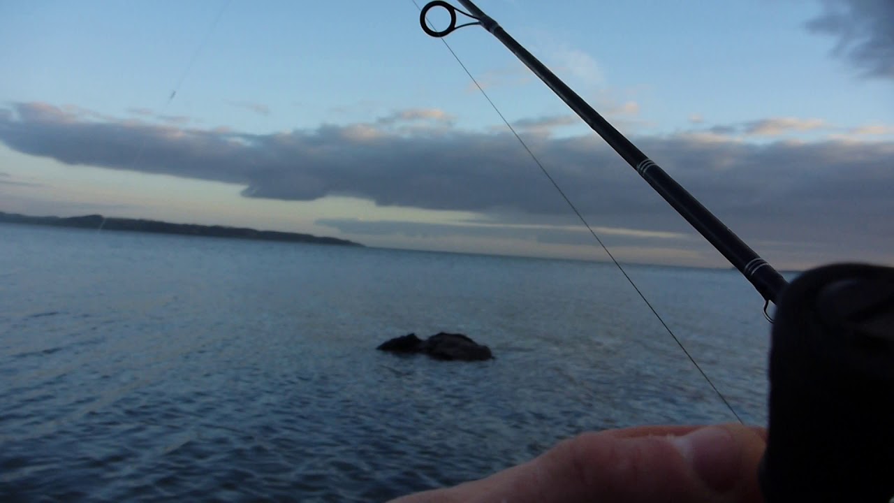 Aabenraa Fjord byder mig velkommen... D. 18 december.