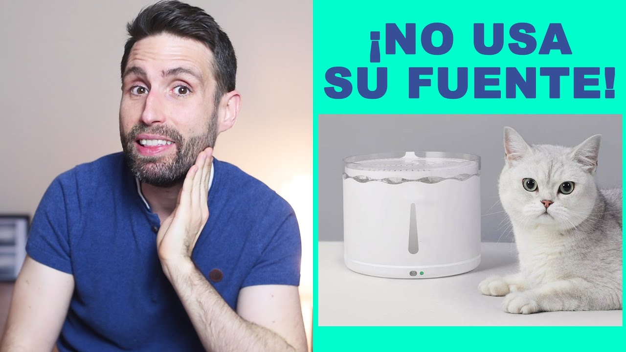 Mi gato no usa su fuente automática, ¿ayudarían las feromonas?