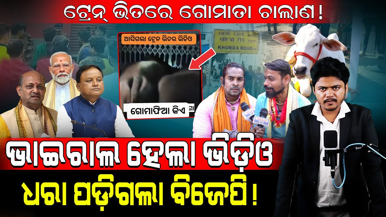 ଟ୍ରେନ୍ ଭିତରେ ଗୋମାତା ଚାଲାଣ!/ ଭାଇରାଲ ହେଲା ଭିଡ଼ିଓ, ଧରା ପଡ଼ିଗଲା ବିଜେପି!/ Odisha Gousevak Exposed BJP!