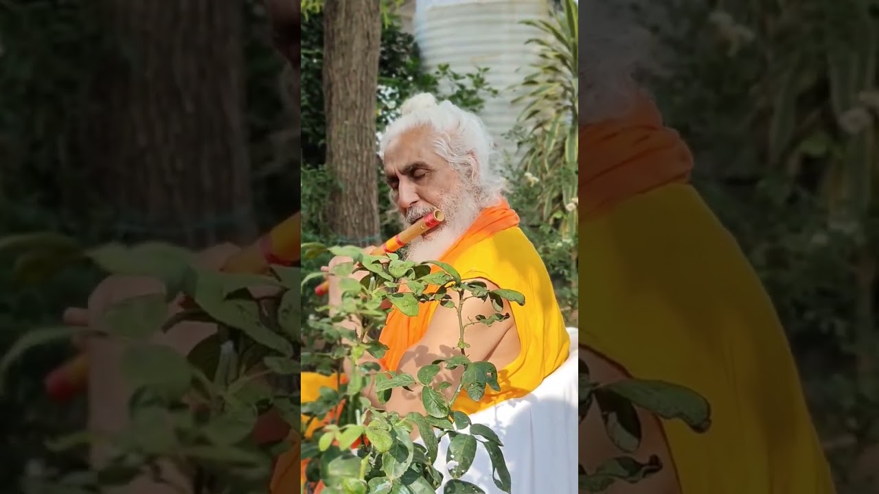 Movie - Hum Kisi Se Kum Nehi, Song - Chand Mera Dil , #bollywoodsongs #flute #fluteringtone #music