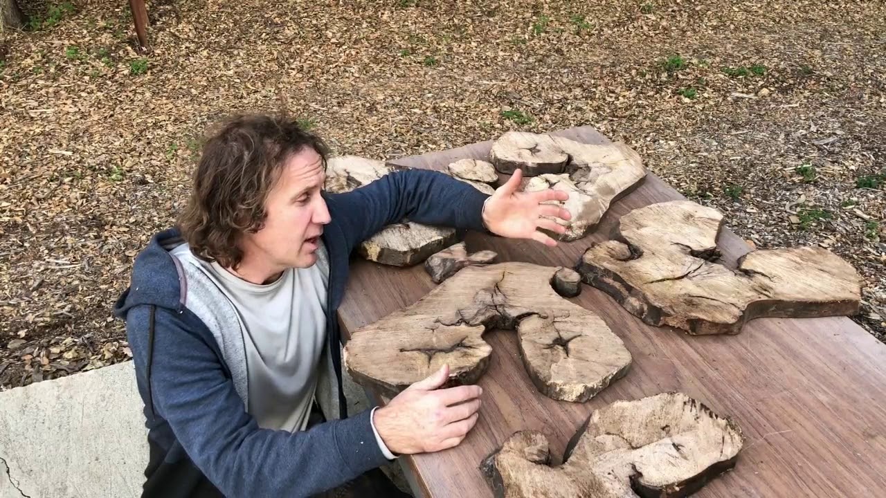Faces of Nature Wall Art Wood Sculpture