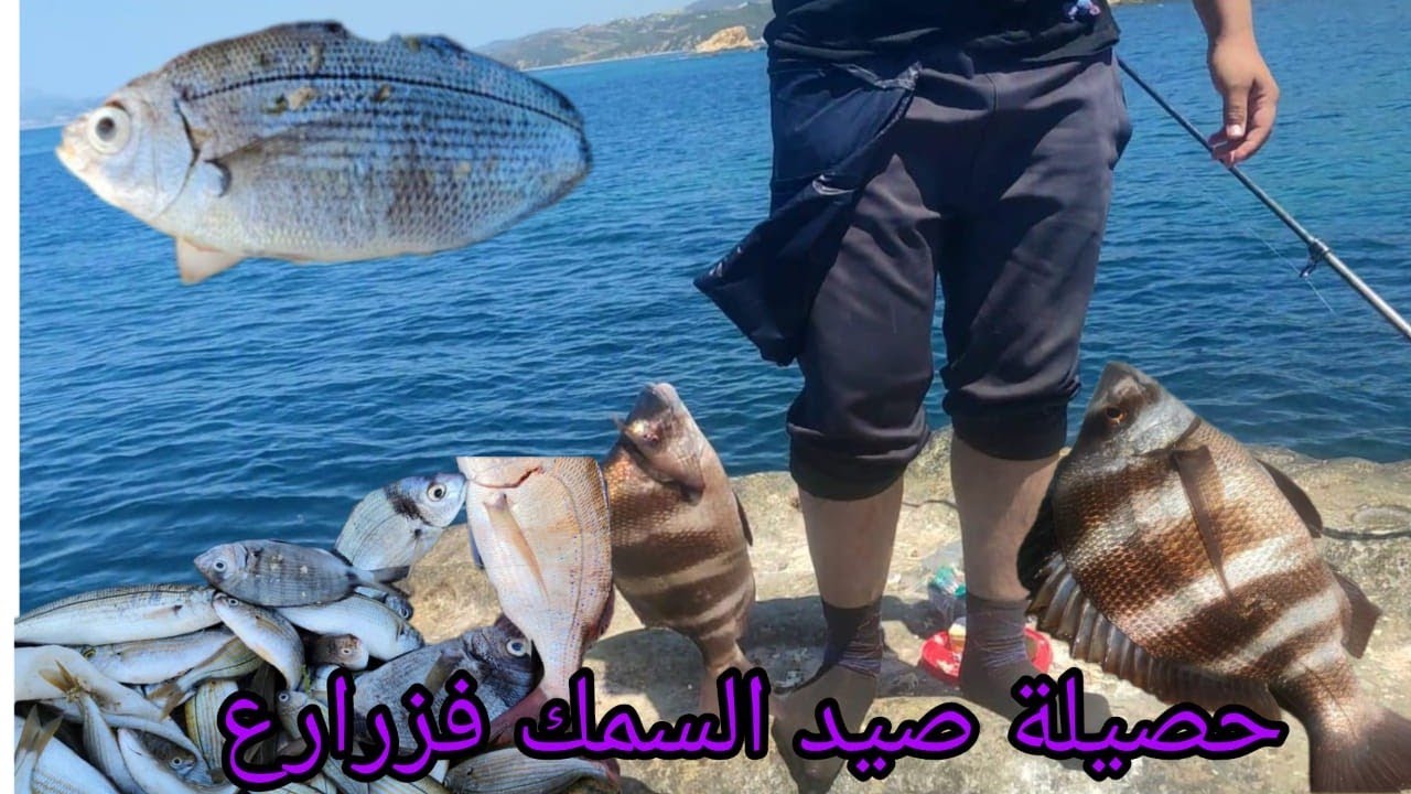 صيد السمك 💯بغار وبوبرداع وفاكية ديال الحوت 🥰بمدينة طنجةالزرارع 🥰أكبر حاصيلة مع العشران