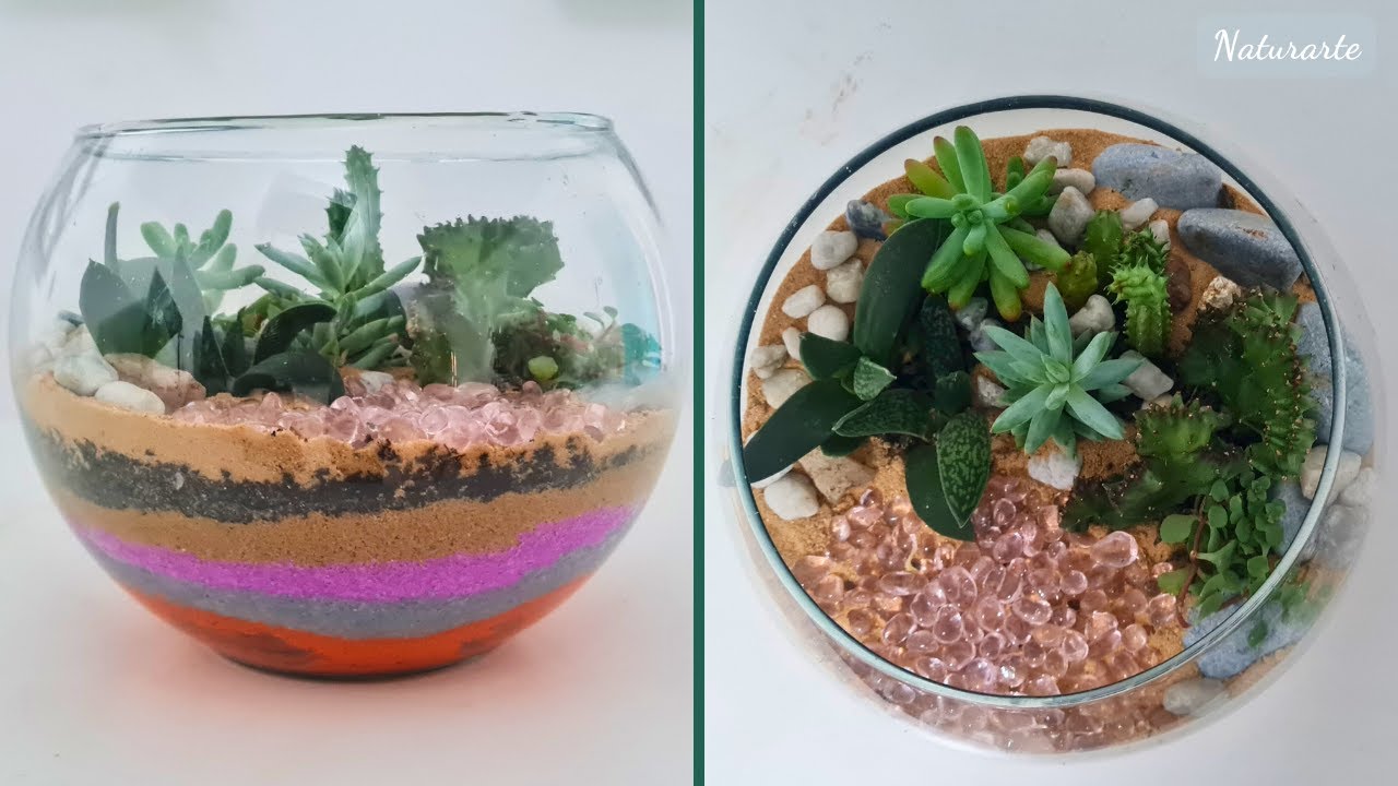 Jardim Mágico: Crie um Terrário de Suculentas Colorido!