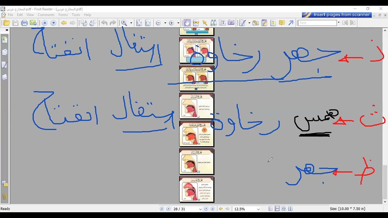 Explanation of Harf Zua (ظ) | Makharij & Sifaat | (شرح مخرج الظاء)