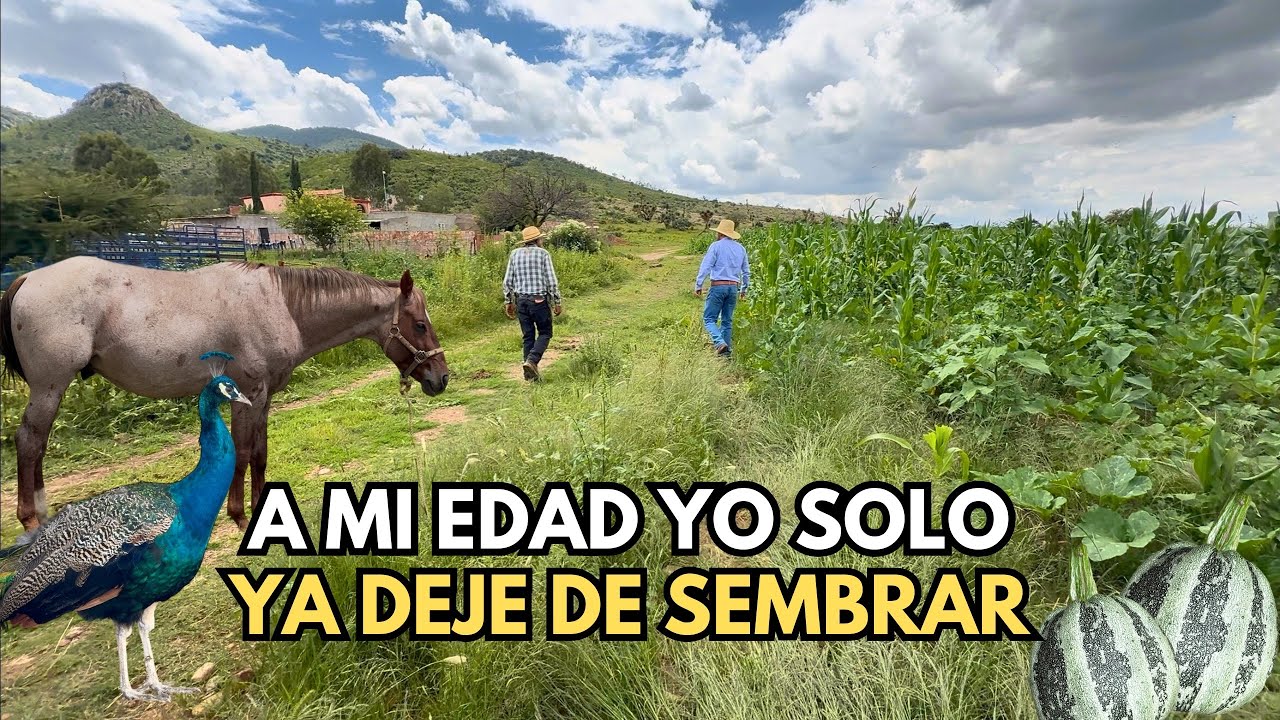 A MI EDAD YO SOLO YA QUE HACÍA, YA DEJÉ DE SEMBRAR