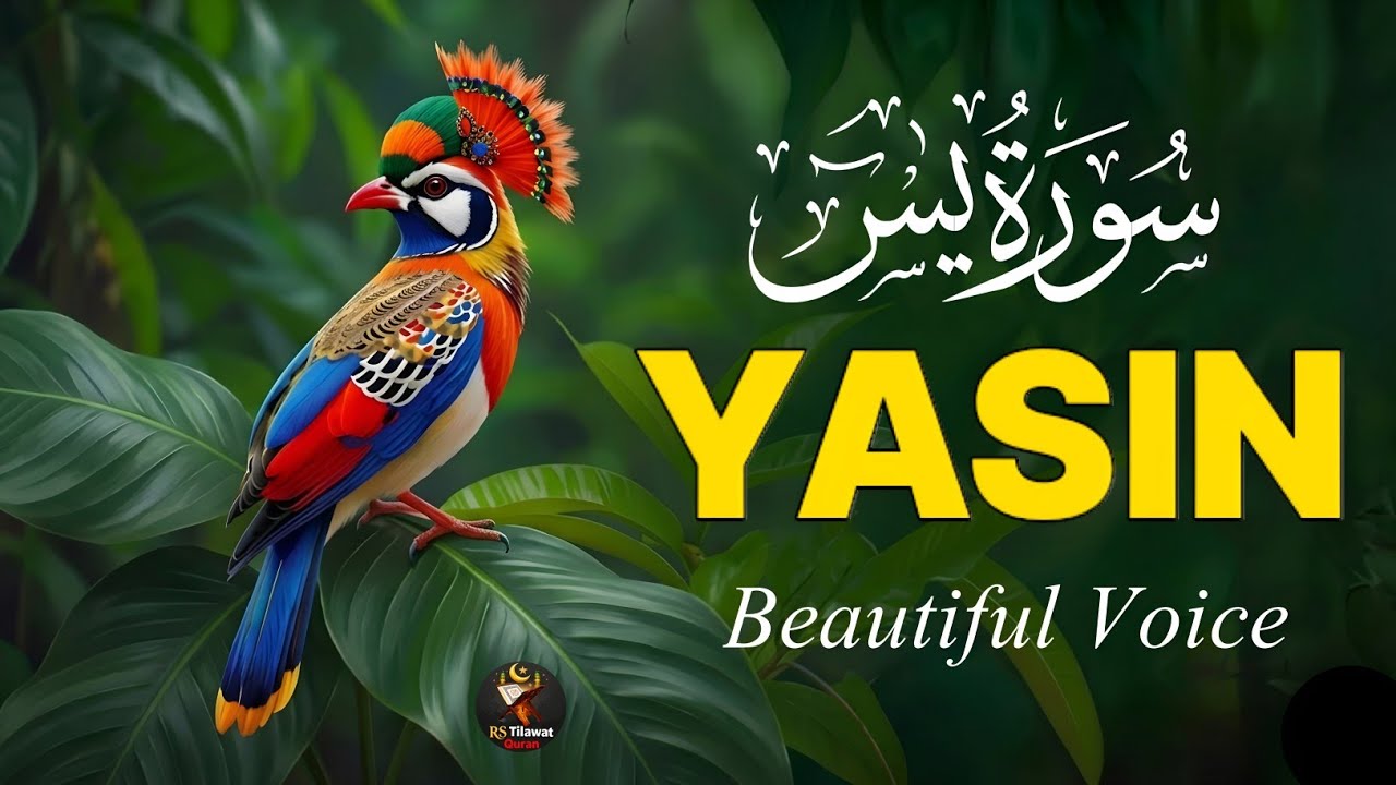 Surah Yasin (Yaseen)سورة يس | Full With Arabic Text | Sheikh Alaa Aqel | Beautiful Tilawat 