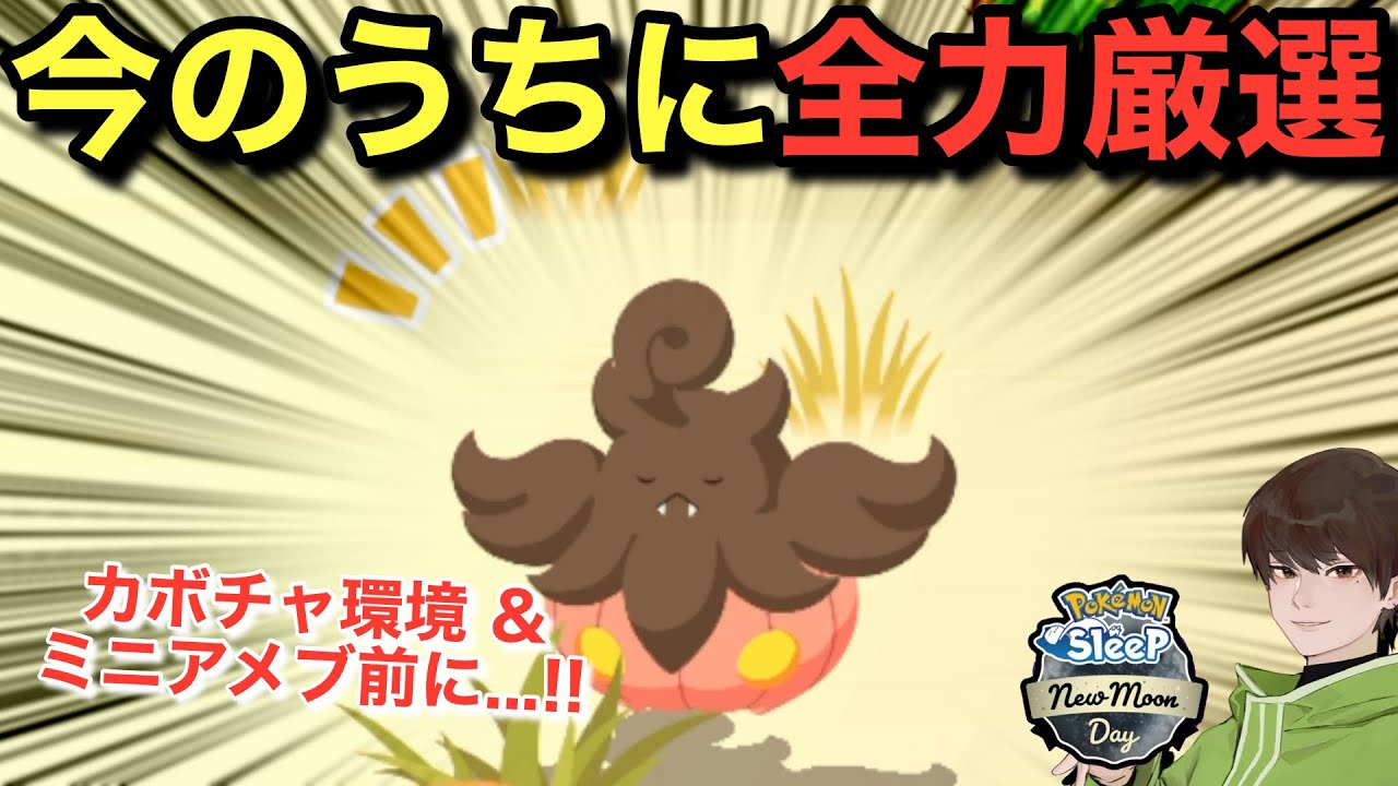 狙える時にカボチャ厳選はしておきたい【ポケモンスリープ】無課金リサーチ940/925日目