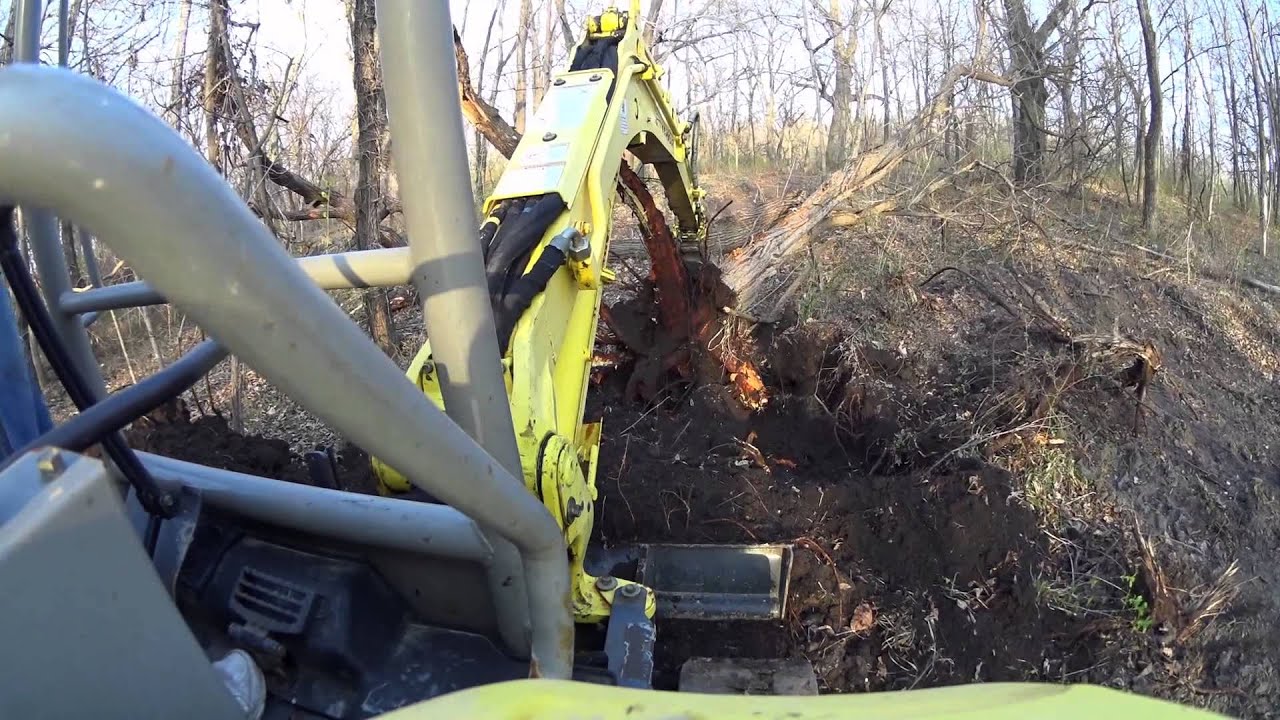 Yanmar Vio35-5 Tree Removal