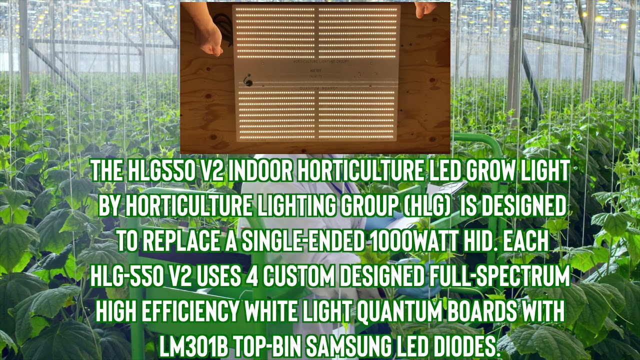 Why you need the HLG 550 V2 by Horticulture Lighting Group