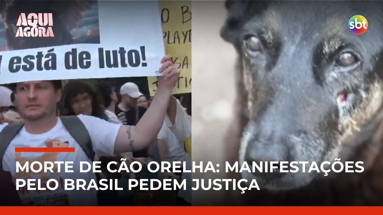 Cão Orelha: jovens investigados voltam ao Brasil; manifestação ocorre em SP e SC | #AquiAgora