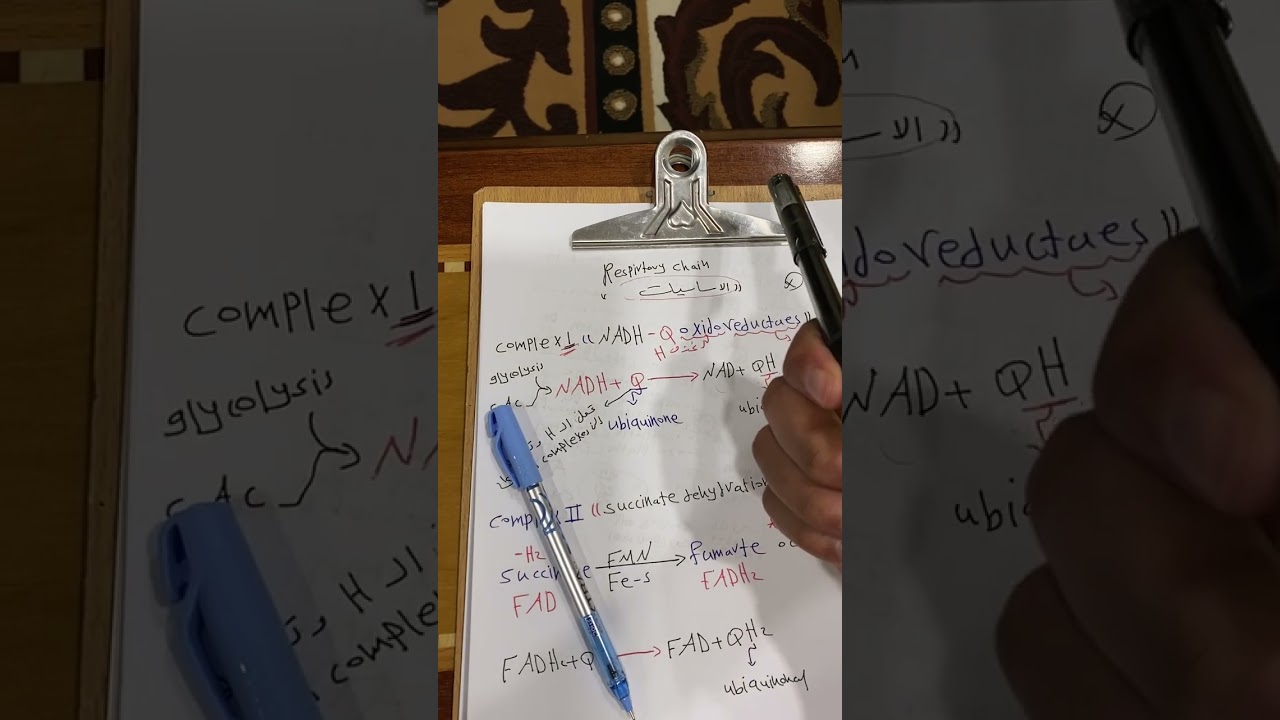 جابتر 2 بايو كمستري بارت ١