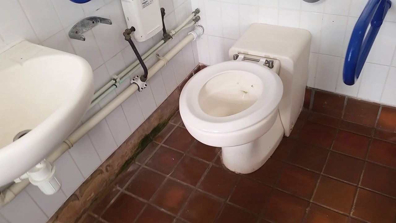 Disabled toilet at Saint Leonards Marina
