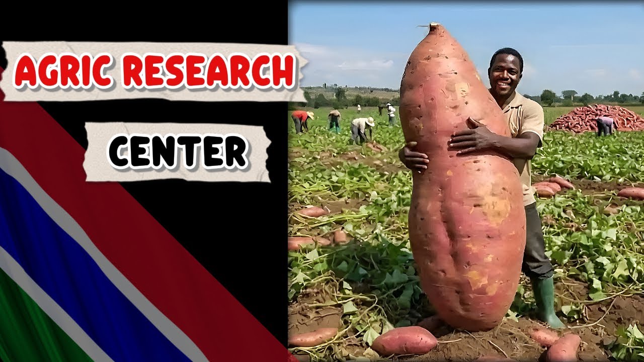 This Farm changed everything