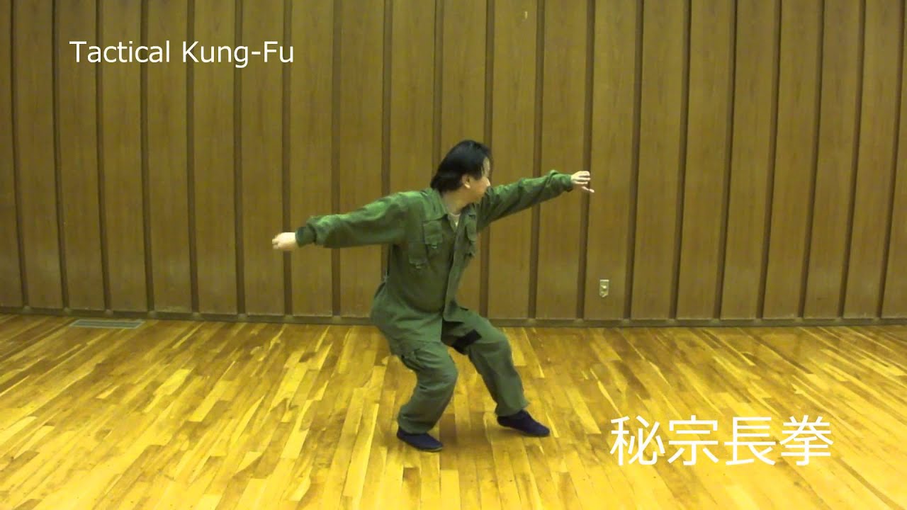 迷綜芸・秘宗長拳