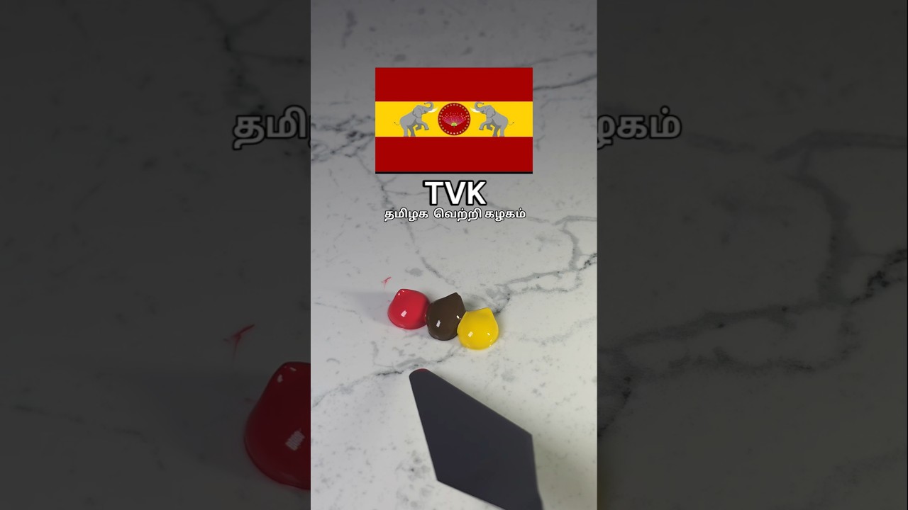 TVK flag colour mixing asmr video #thalapathy #vijay #tvk #trending #viral #jananayagan #movie