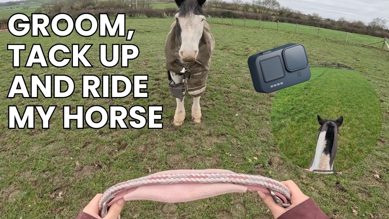 GROOM, TACK UP AND RIDE MY HORSE | EQUESTRIAN POV | LAST RIDE OF 2025 | Lilscliffe