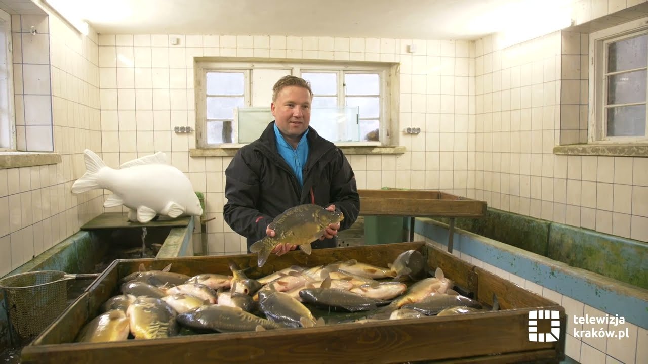 Poznaj Gospodarstwo Rybackie Dolina Będkowska