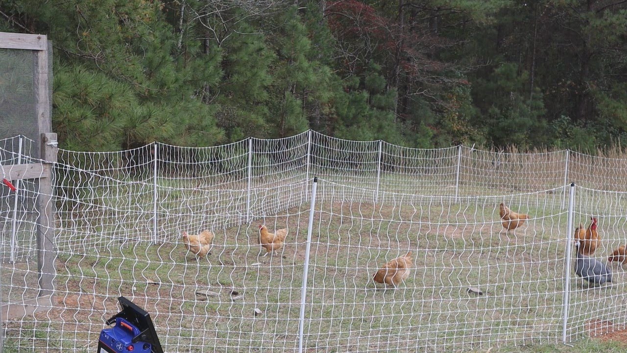Premier 1 Solar Chicken Fence Review