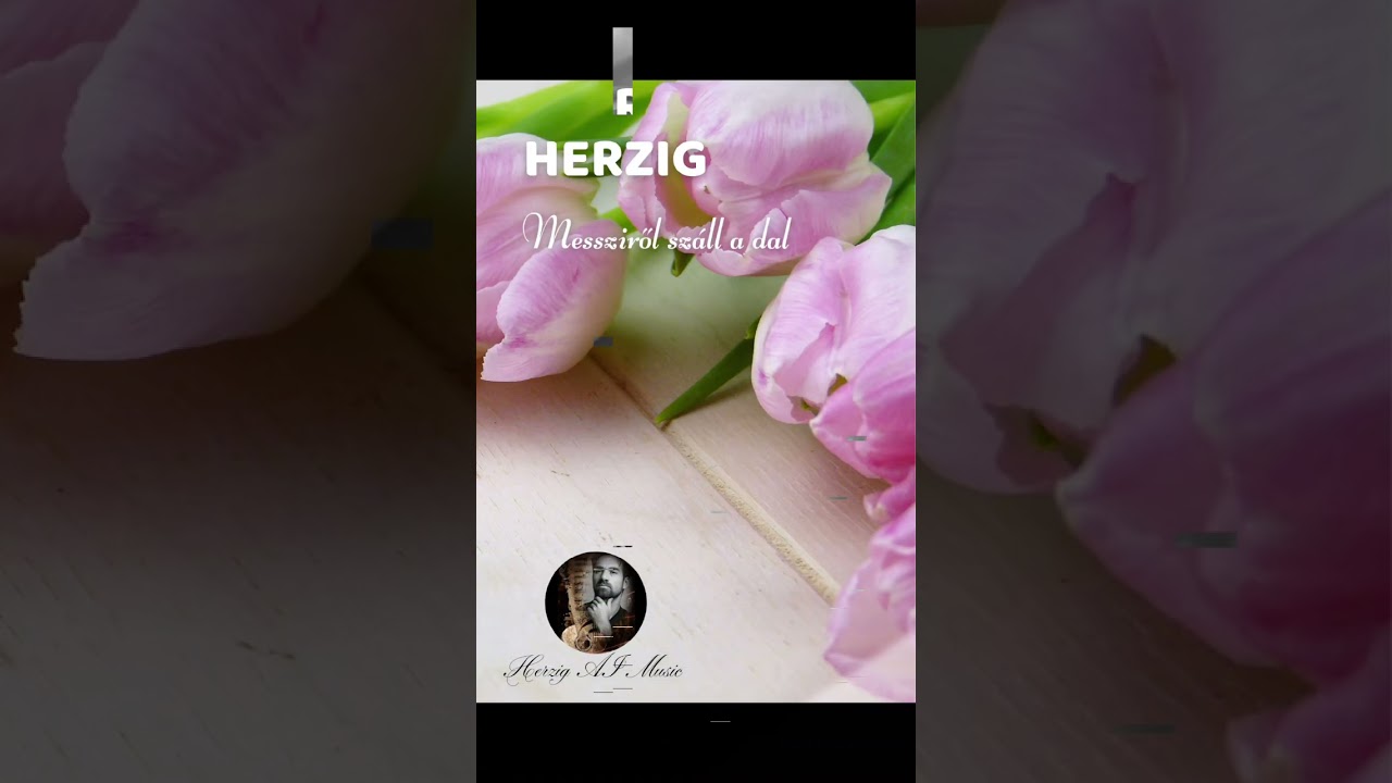 Herzig - Messziről száll a dal 