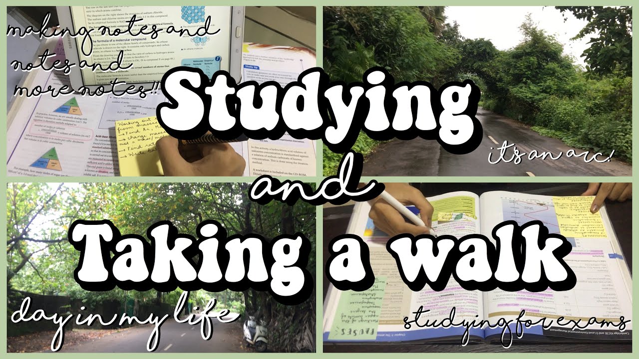 ✏️ Study Vlog India &bull; day in my life in the Countryside &bull; studying and going for a walk || India