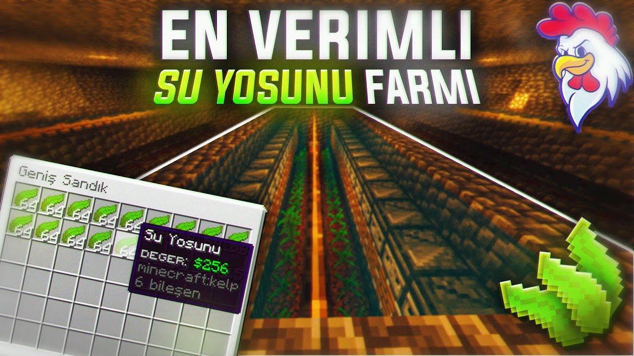EN VERİMLİ YOSUN FARMI YAPIMI-CHİCKEN SMP