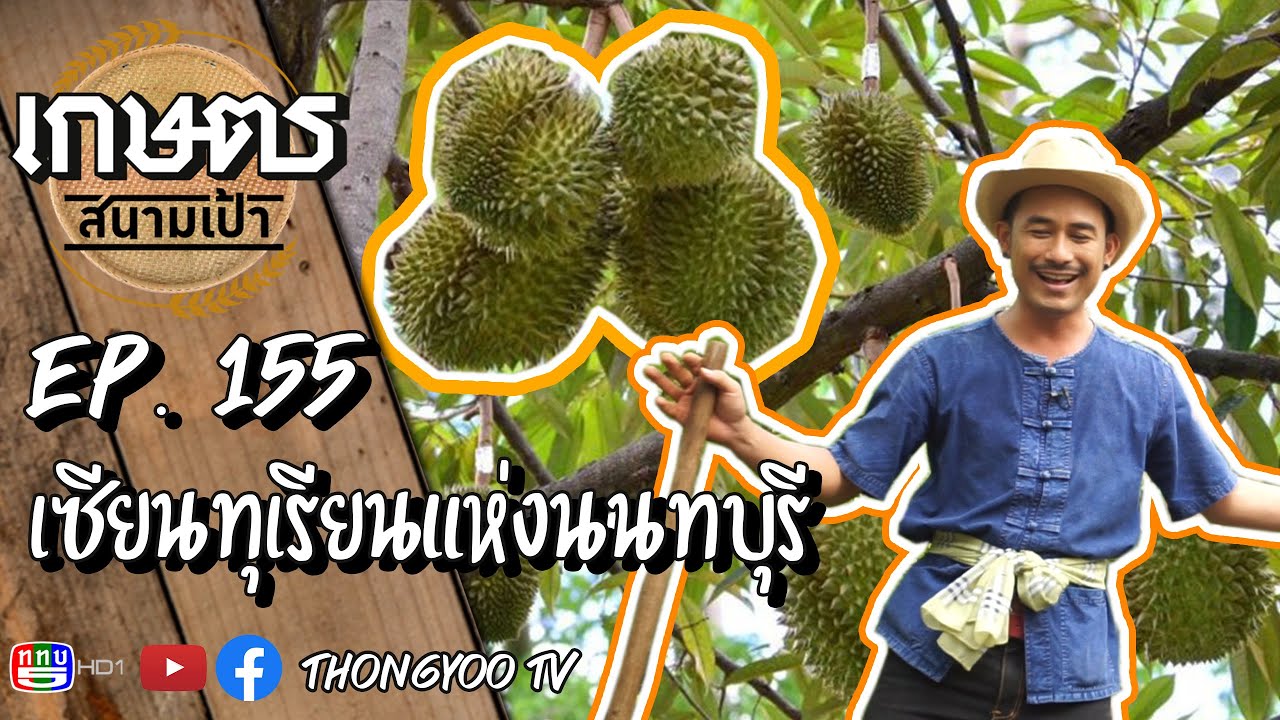 เกษตรสนามเป้า EP.155 | เซียนทุเรียนแห่งนนทบุรี | เสาร์ที่ 15 กุมภาพันธ์ 2563