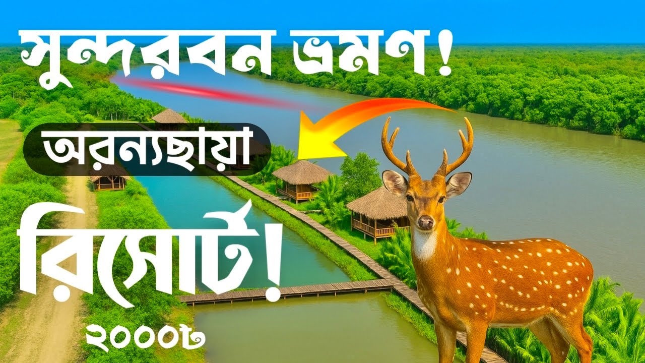 সুন্দরবন ভ্রমন করুন কম টাকায় সম্পূর্ন গাইড || Aronnochaya Eco Resort Sundarbans #sundarbans