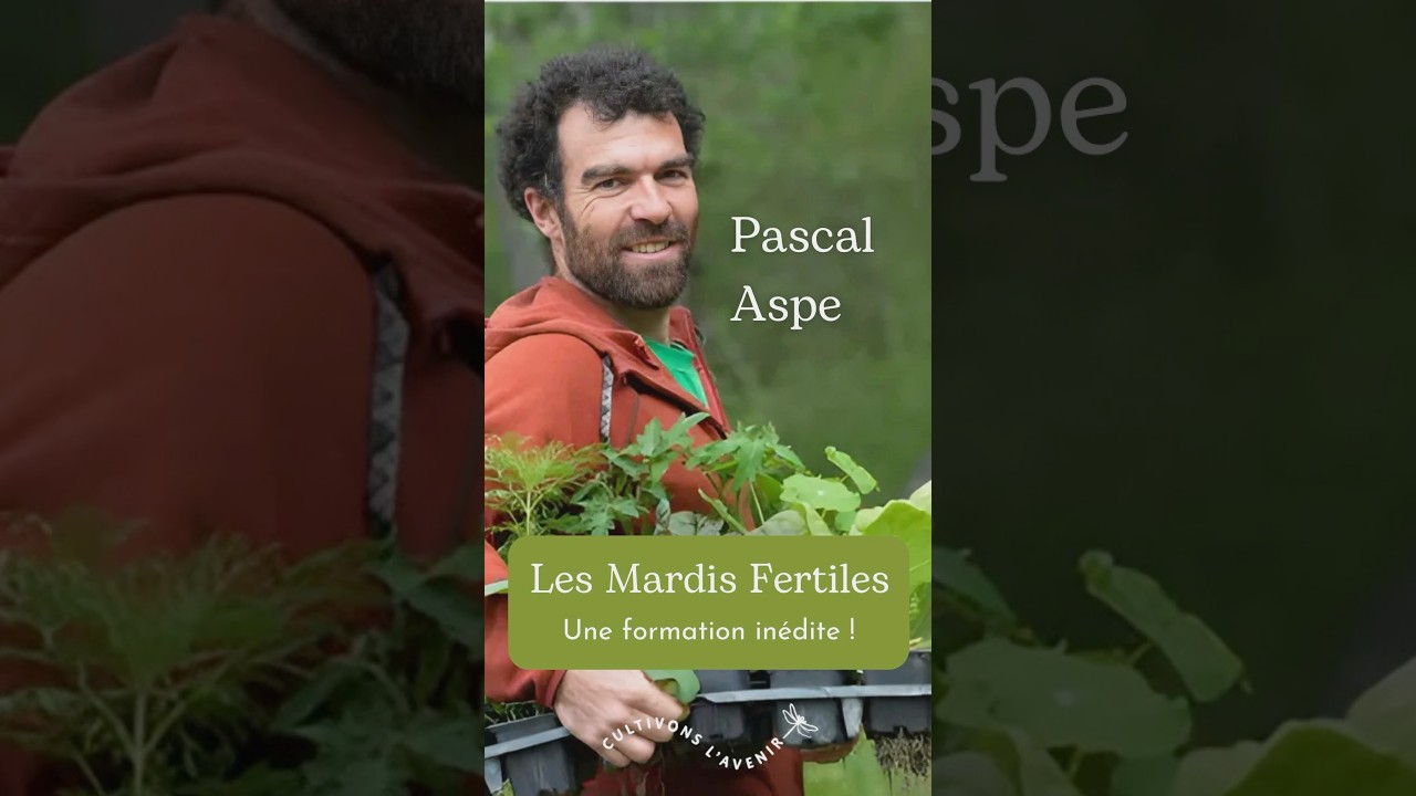 Les Mardis Fertiles sur www.alveoles.fr ! 🌱