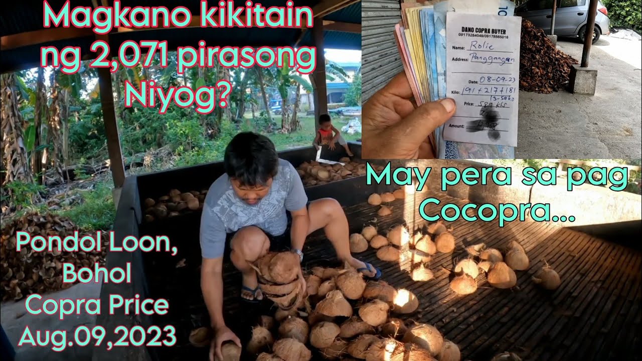 May pera sa COPRA/ Magkano kikitain ng 2,071 pirasong Niyog?