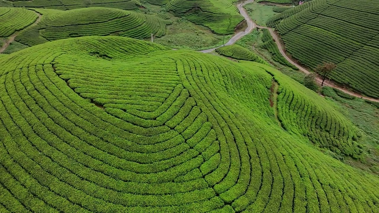Whispers of the Hills – Mankulam, Anakulam & Mamala Kandam in DJI Neo 4K