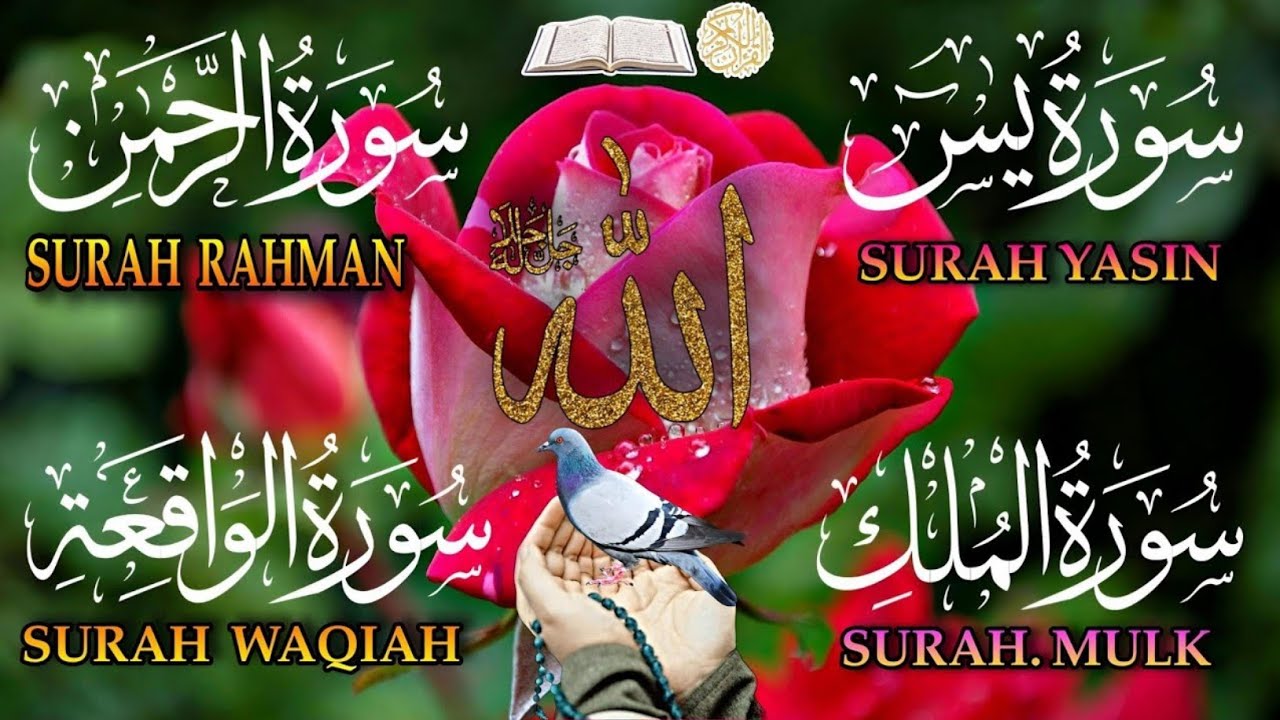 Surah Yaseen (Yasin) سورة يس | Surah Rahman | Surah Waqia | Powerful Dua |Full Qur’an Tilawat Epi 15