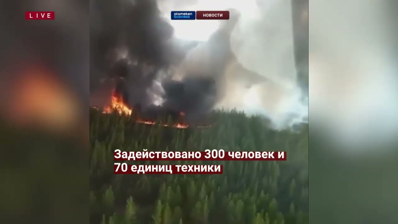 Лесной пожар в области Абай: Жители трех сел покинули свои дома
