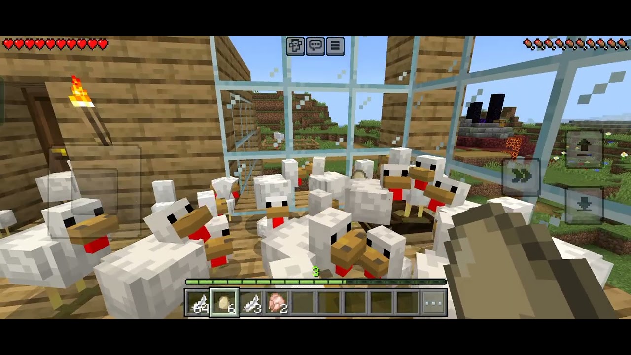 There is Chickens inside my House Story! 