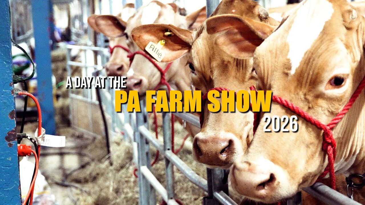A Day at the 2026 Pennsylvania Farm Show