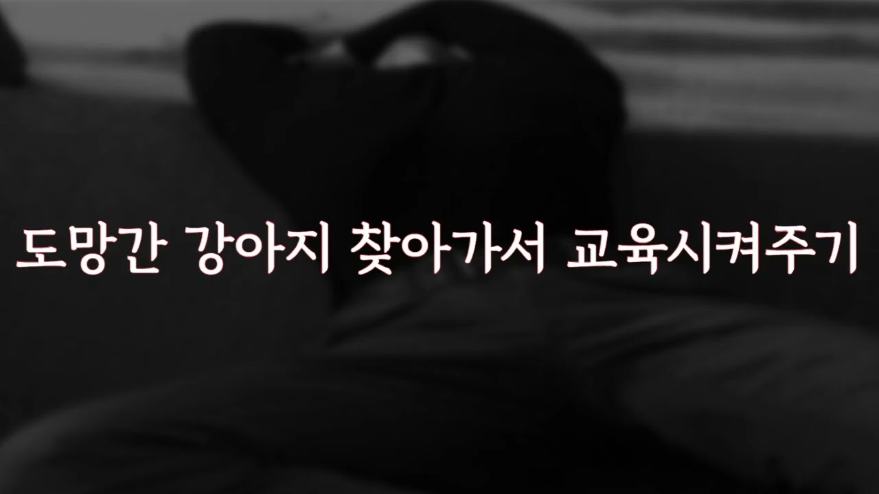 [19ASMR]도망간 강아지 찾아가서 교육하기 ㅣ 남성향 ㅣ 얀데레롤플