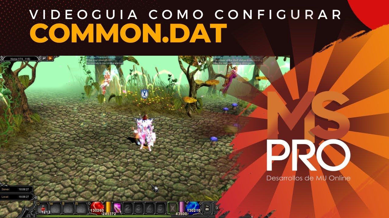 MSPro - Videoguia - Common.dat