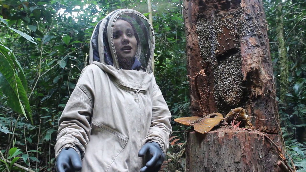 COMO ESTAMOS INICIANDO EN ICONONZO EL PROYECTO Y CAPTURA DE ABEJAS