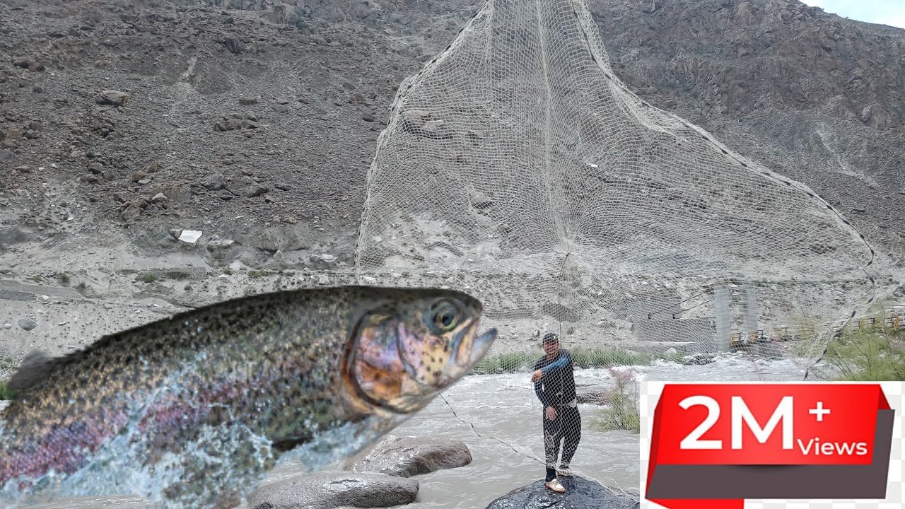 beautiful trout fish catching in gilgit Pakistan | #trout |cast net fishing in gilgit Pakistan