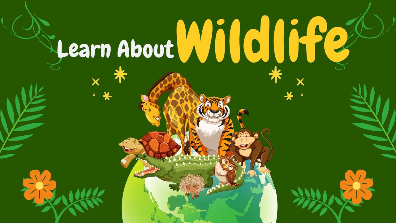 Animal Song | Learning English for Kids #englishforkids #animalsong #kidsongs