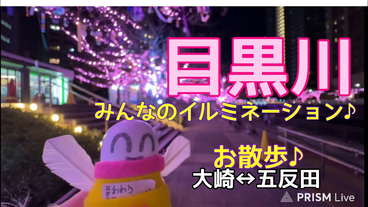 目黒川みんなのイルミネーションちゃん 大崎↔︎五反田 #japan #tokyo