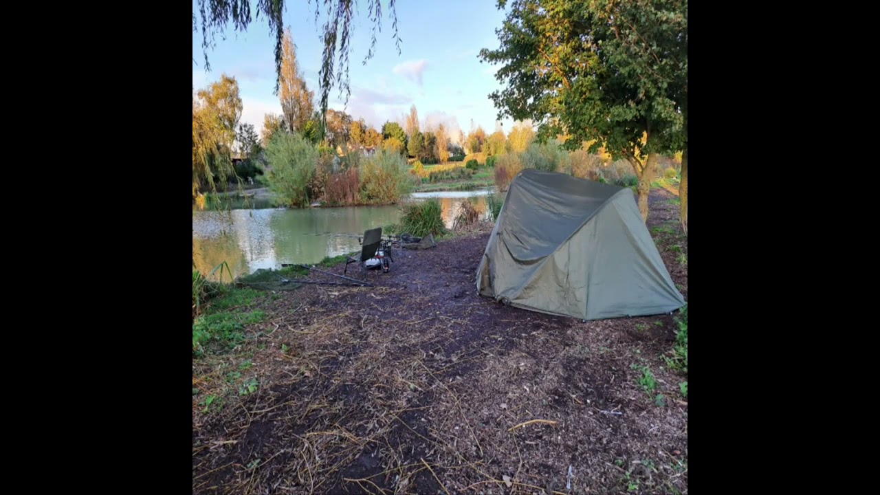Carp and Catfish | Toddington Fishery | 20hr Catfish and Carp session
