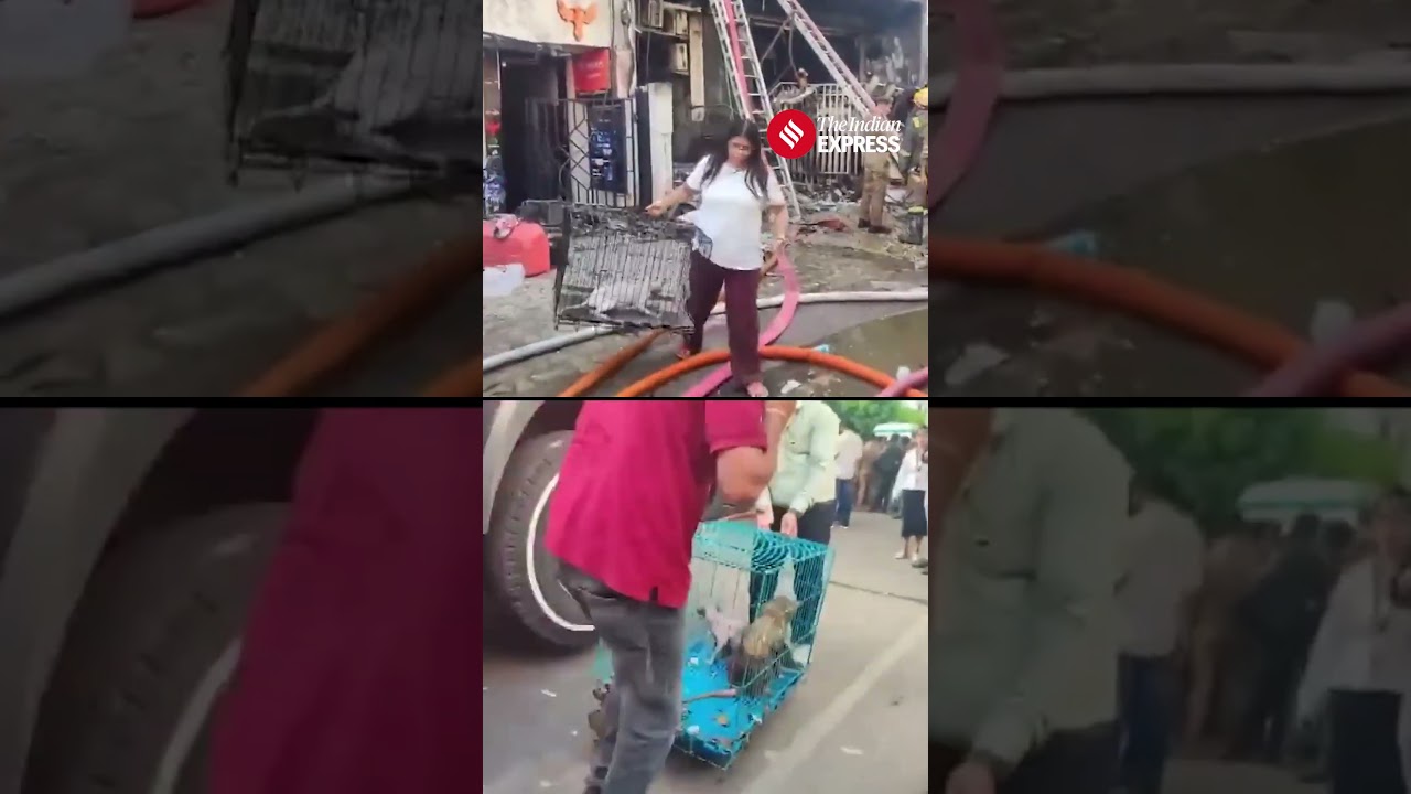 Parallel Rescue Of Pets In Lucknow Fire