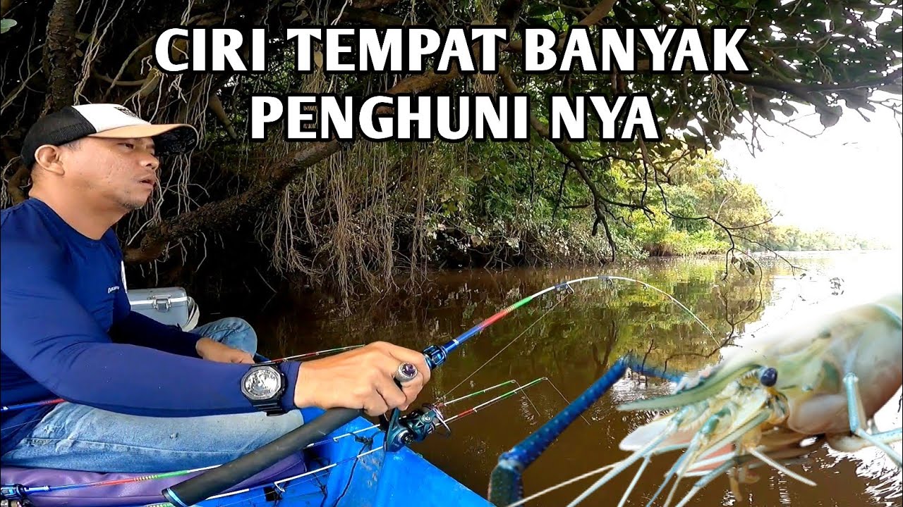 MANCING DIATAS LUBUK UDANG GALAH SUNGAI KUALAN