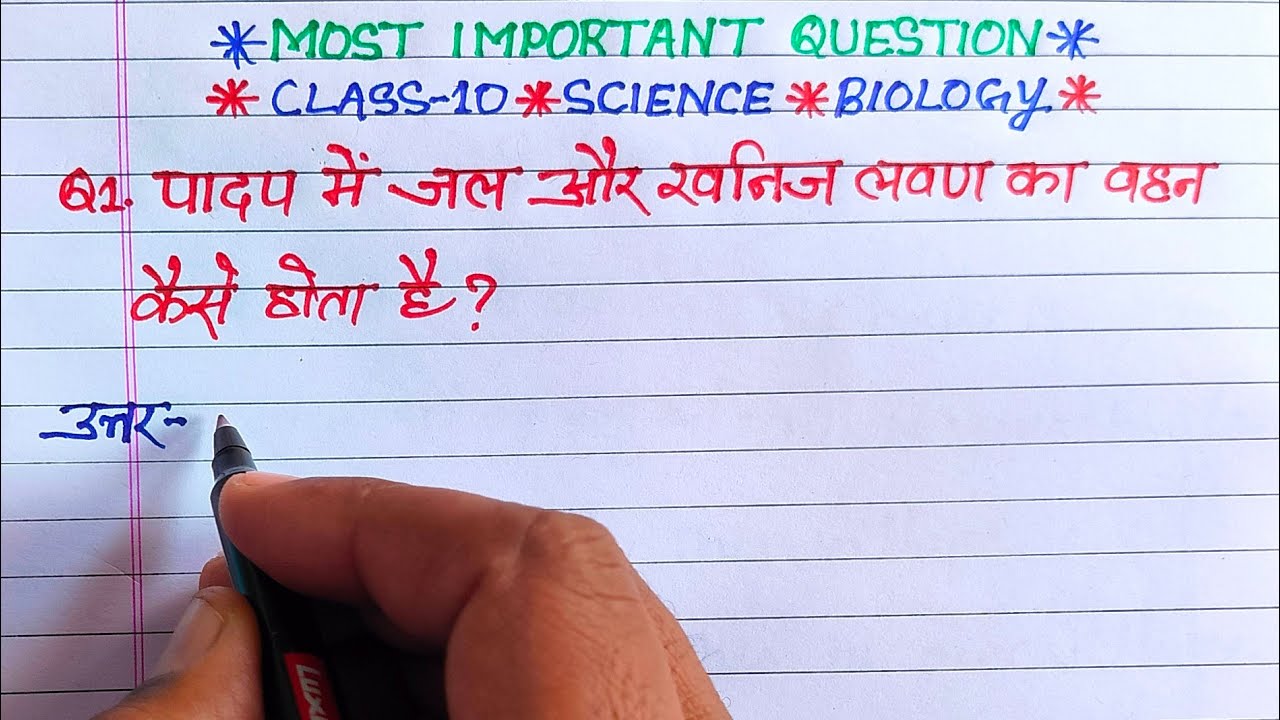 class x biology important questions | padap mein jal aur khanij lavan ka vahan kaise hota hai