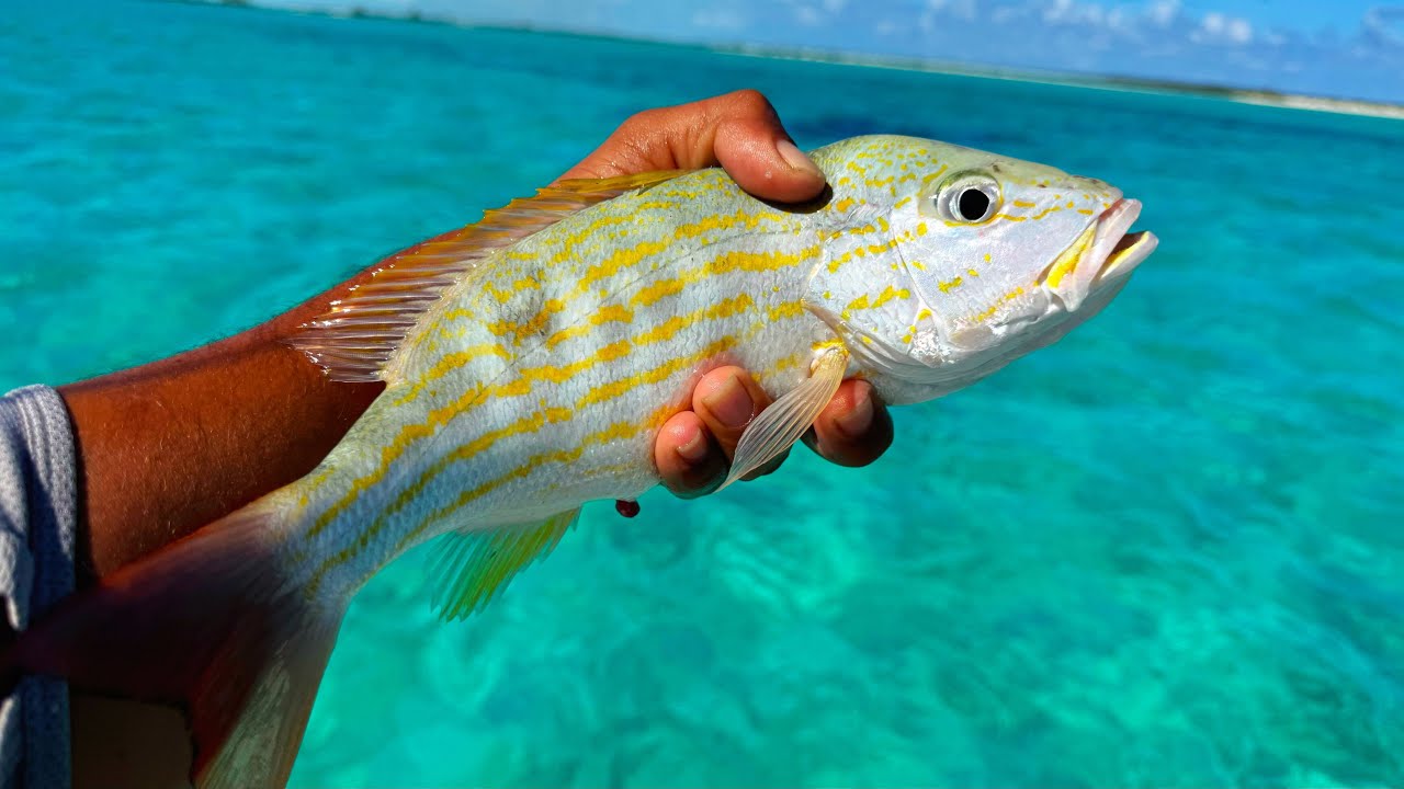 Snapper Fishing Redemption | Light Tackle | Exuma Bahamas