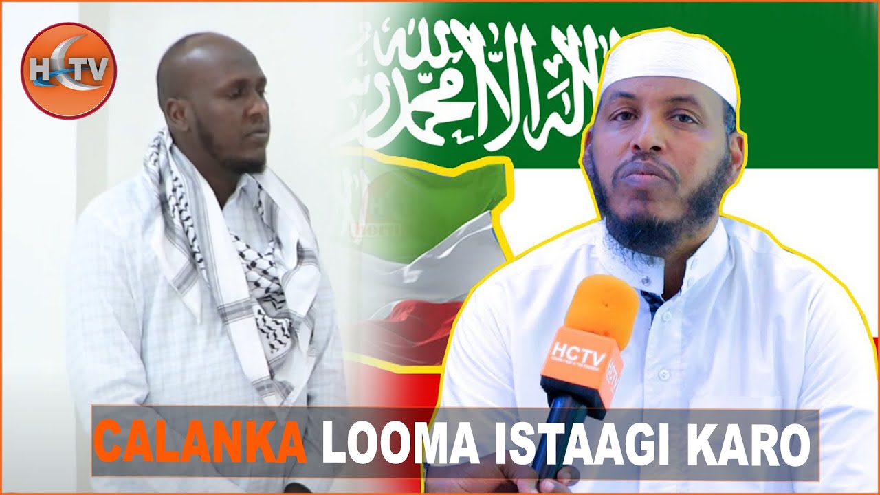 Sh.Barbaraawi ayaa ku raacay Cabdimaalik Muuse Coldoon in aan loo istaagi karin Heesta Calanka