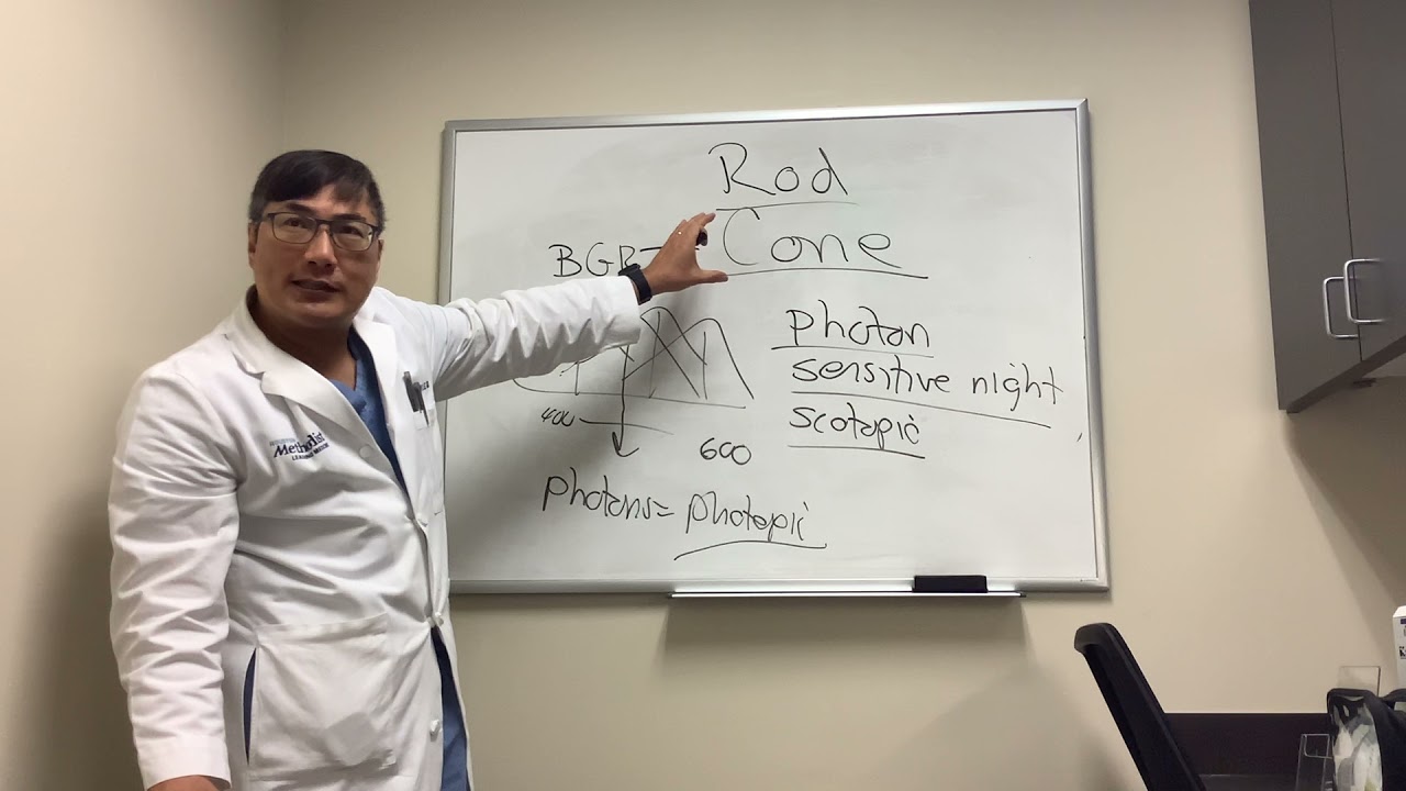 Rod versus Cone cells Physiology